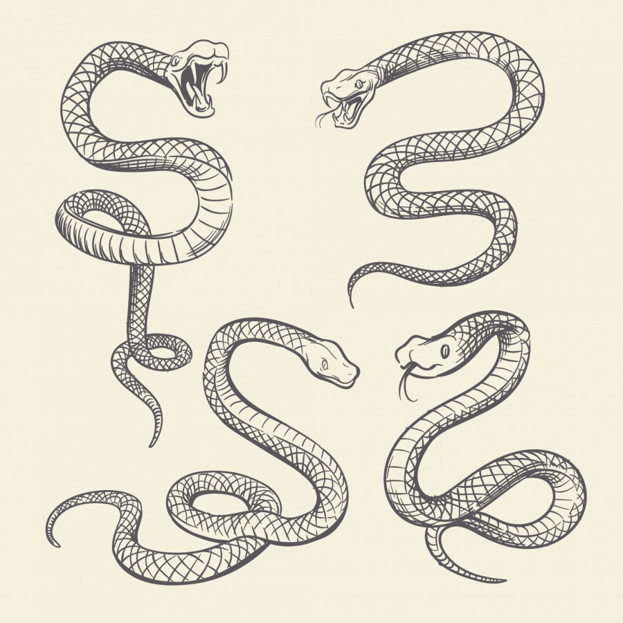 Quelle est la signification du serpent en tatouage ?